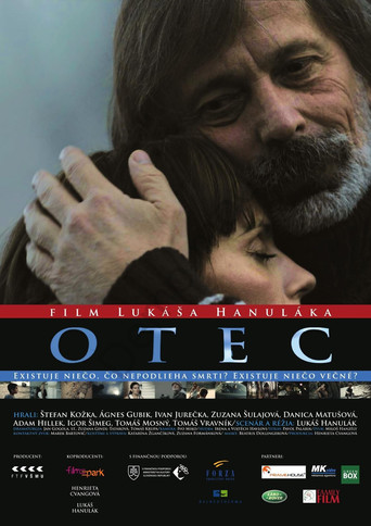 The Father movie poster