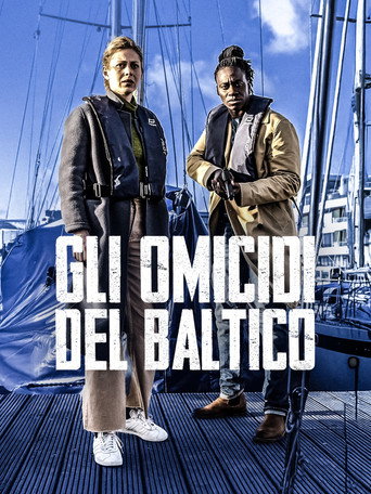 Der Flensburg-Krimi - Wechselspiele movie poster