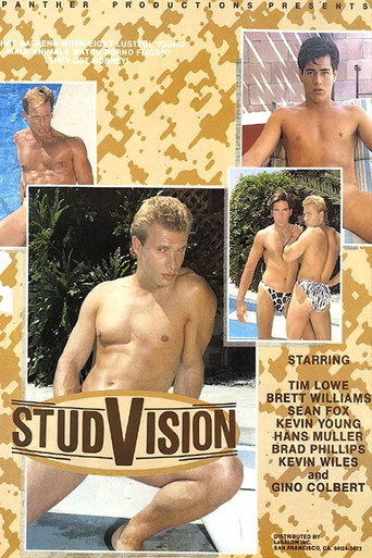 StudVision movie poster