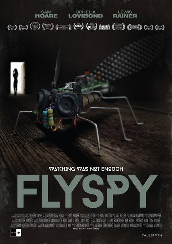Flyspy movie poster