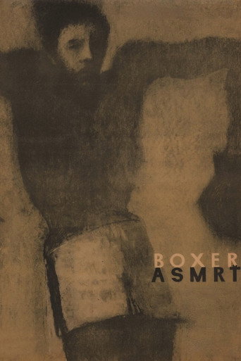The Boxer and Death movie poster