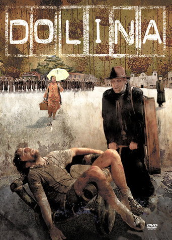 Dolina movie poster