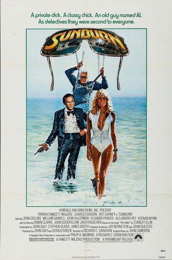 Sunburn movie poster
