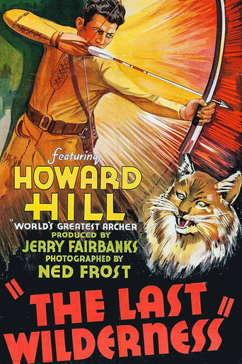 The Last Wilderness movie poster