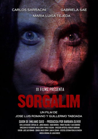 Sorgalim movie poster