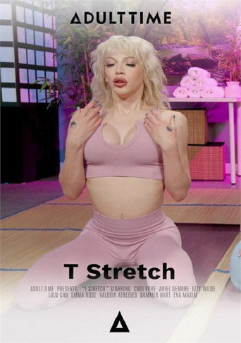T Stretch movie poster