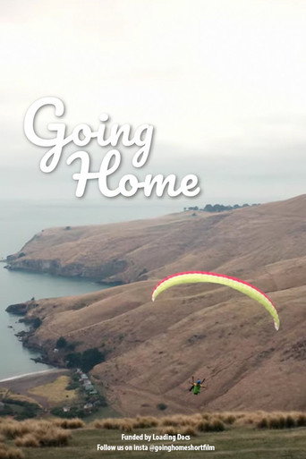 Going Home movie poster