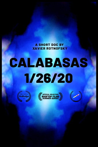 Calabasas 1/26/20 movie poster