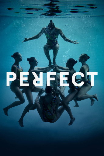 Perfect movie poster