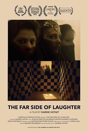 The Far Side of Laughter movie poster