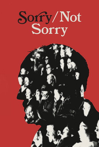 Sorry/Not Sorry movie poster