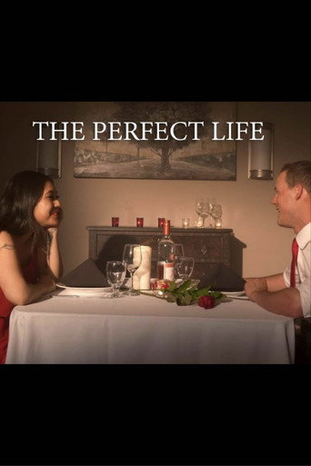 The Perfect Life movie poster