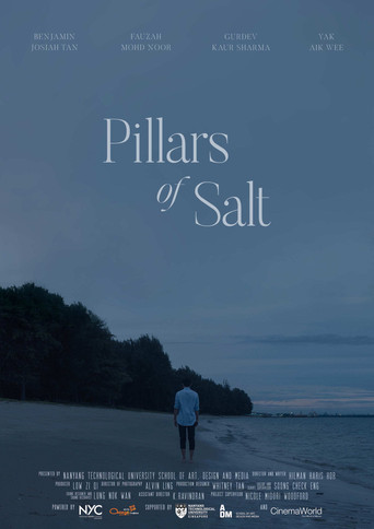 Pillars of Salt movie poster