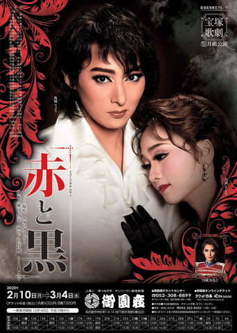 The Red and the Black movie poster