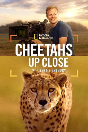 Cheetahs Up Close with Bertie Gregory movie poster