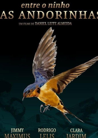 Between the Nest and the Swallows movie poster