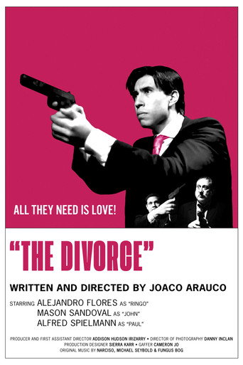 The Divorce movie poster