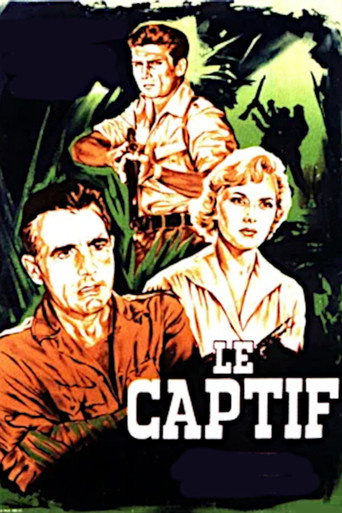 The Captive movie poster