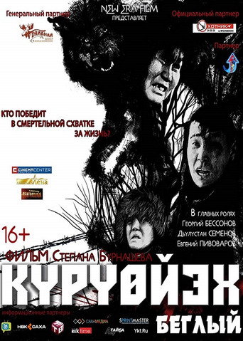 Fugitive movie poster
