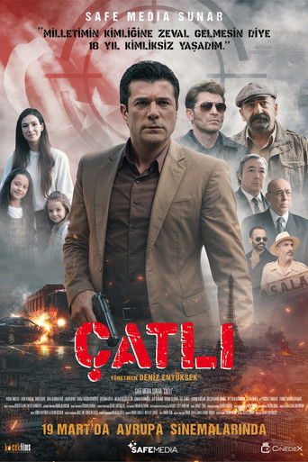 Çatlı movie poster
