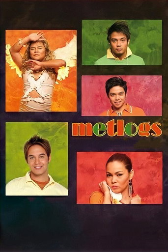 Metlogs (Metrosexual Adventures) movie poster