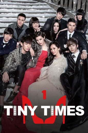 Tiny Times movie poster