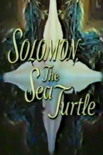 Solomon, the Sea Turtle movie poster