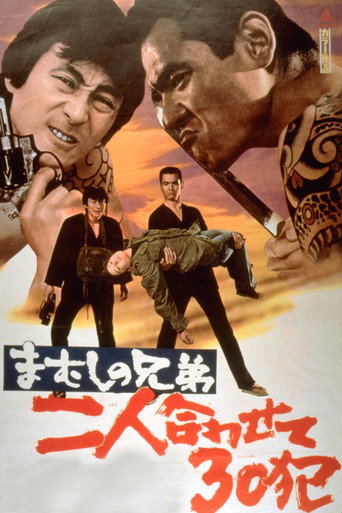 The Viper Brothers: Up on 30 Charges movie poster