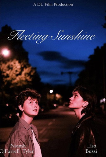 Fleeting Sunshine movie poster