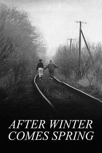 After Winter Comes Spring movie poster