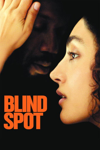Blind Spot movie poster
