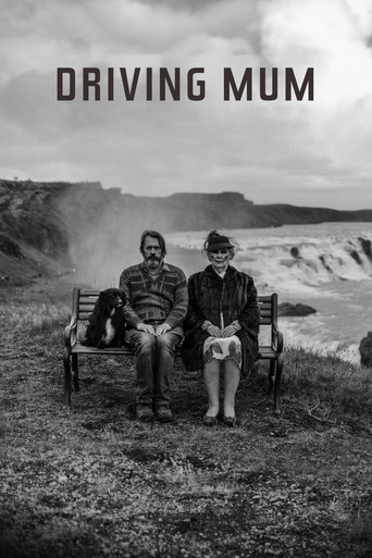 Driving Mum movie poster