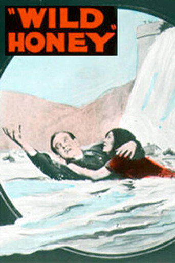 Wild Honey movie poster