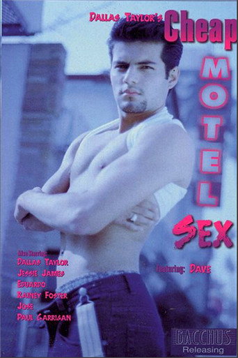 Cheap Motel Sex movie poster