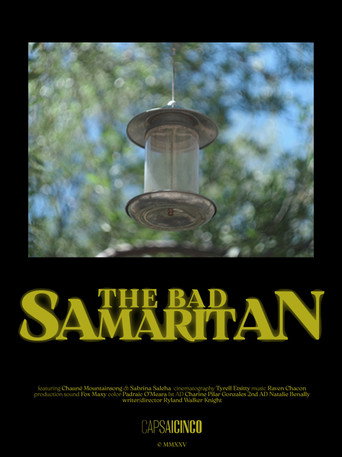 The Bad Samaritan movie poster