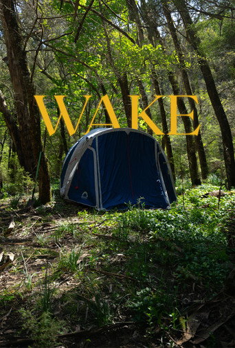 Wake movie poster