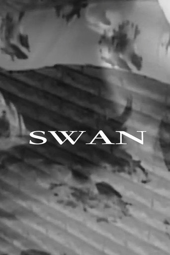 Swan movie poster