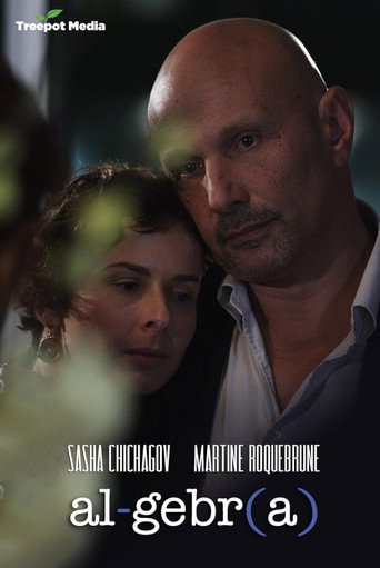 Algebra: A Reunion of Broken Parts movie poster
