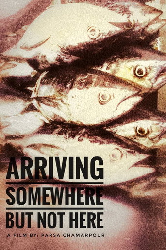 Arriving Somewhere But not here movie poster