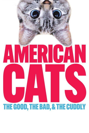 American Cats: The Good, the Bad, and the Cuddly movie poster