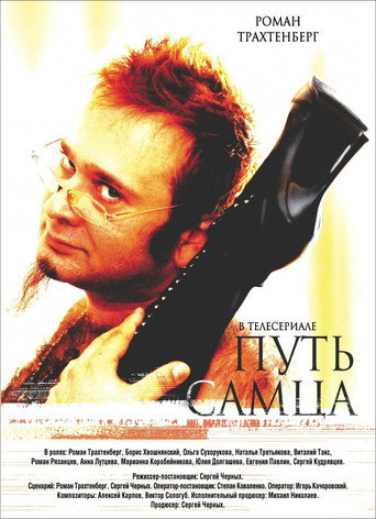 Male's way movie poster