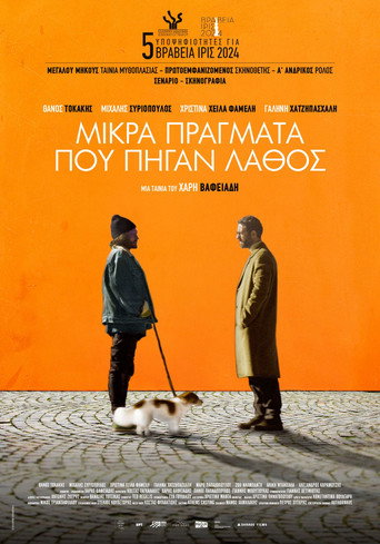 Little Things That Went Wrong movie poster