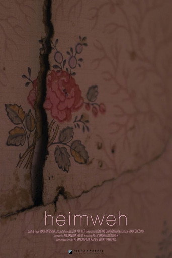 Homesick movie poster