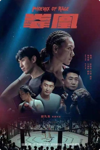 拳凰 movie poster