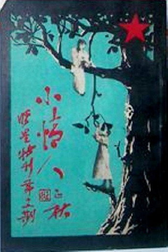 Xiao Qing Ren movie poster