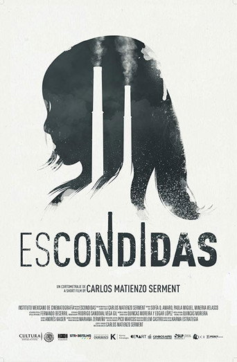 Hidden Death Girl And Seek movie poster