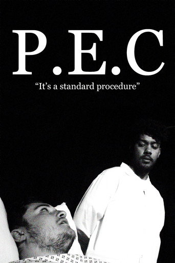 P.E.C movie poster