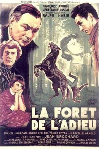 The Forest of Farewell movie poster