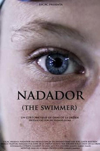 The Swimmer movie poster