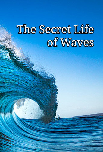 The Secret Life of Waves movie poster
